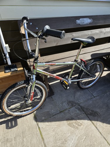 Raleigh aero pro - pro, mk2