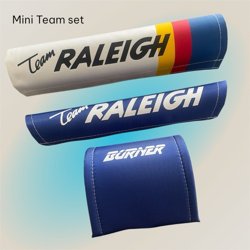 Raleigh team aero pro - team,